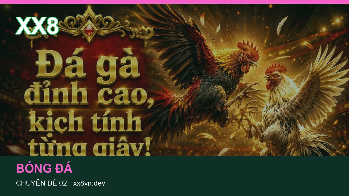 Bảo vệ dữ liệu cá nhân khi tìm hiểu Thể thao tại XX8 | xx8vn.dev